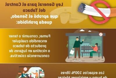 dd cosas que no sabias sobre tabaxi