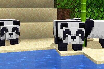 minecraft donde encontrar pandas