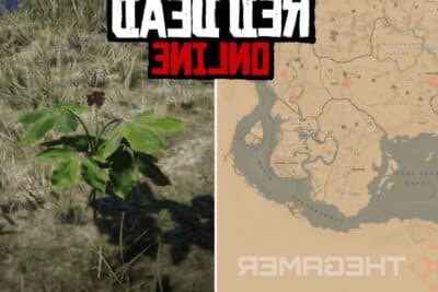 red dead online las mejores ubicaciones de ginseng americano