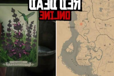 red dead online las mejores ubicaciones de hummingbird sage