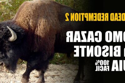 ubicaciones de bisontes en linea de red dead