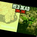 American Ginseng locations in Red Dead Redemption 2 Online