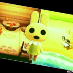 Animal Crossing Coco Feature
