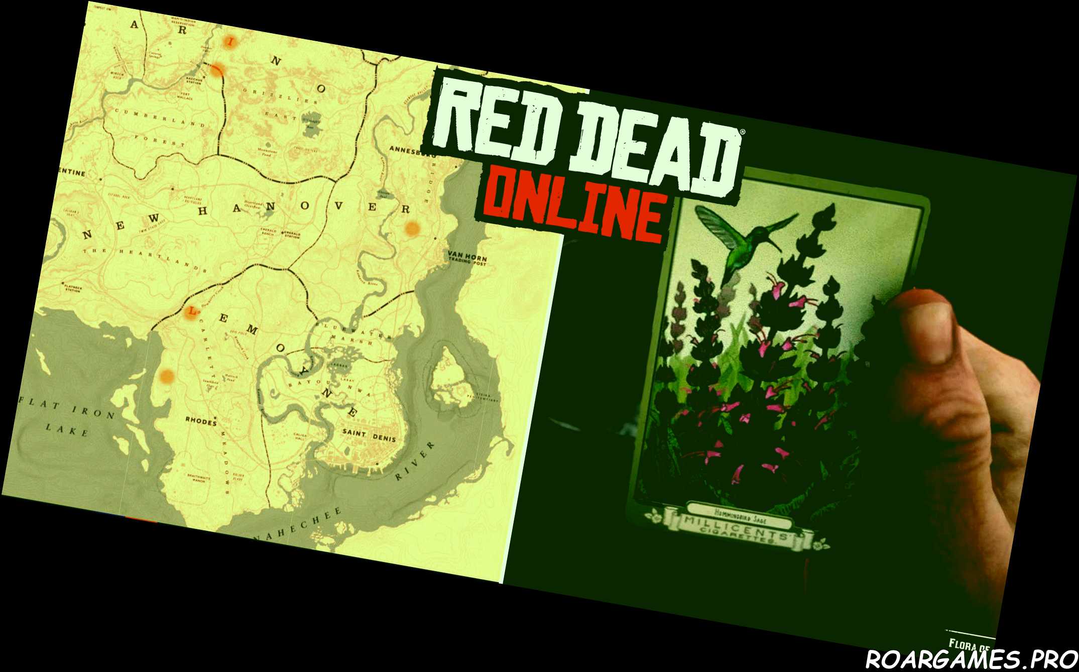 Hummingbird Sage locations hunting map Red Dead Redemption 2 Online ign rdr2map
