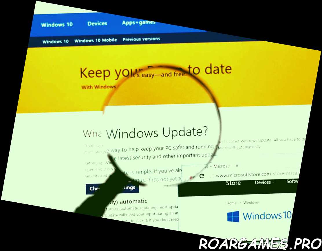 Microsoft Update en la web bajo lupa
