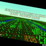 Minecraft Everything You Need To Know About Growing Crops