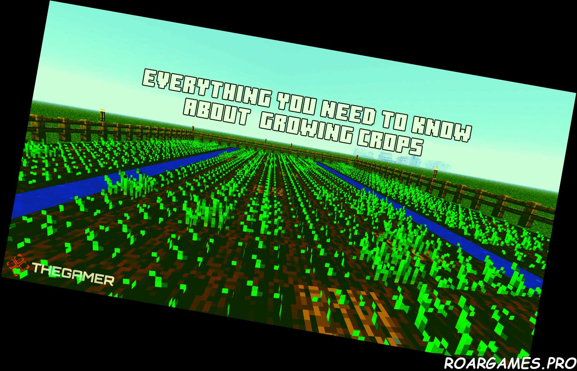 Minecraft Everything You Need To Know About Growing Crops