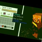 Minecraft soul speed featured image