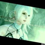 Nier Replicant 10 Things You Didnt Know About Kaine 1