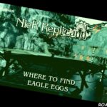 Nier Replicant Where To Find Eagle Eggs