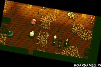 Oatrich egg Stardew Valley