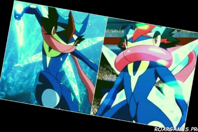 Pokemon Anime Two Greninjas