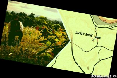Red Dead Redemption 2 Blackberry Location