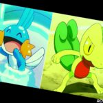 Things You Didnt Know About The Pokemon Emerald Starters Header