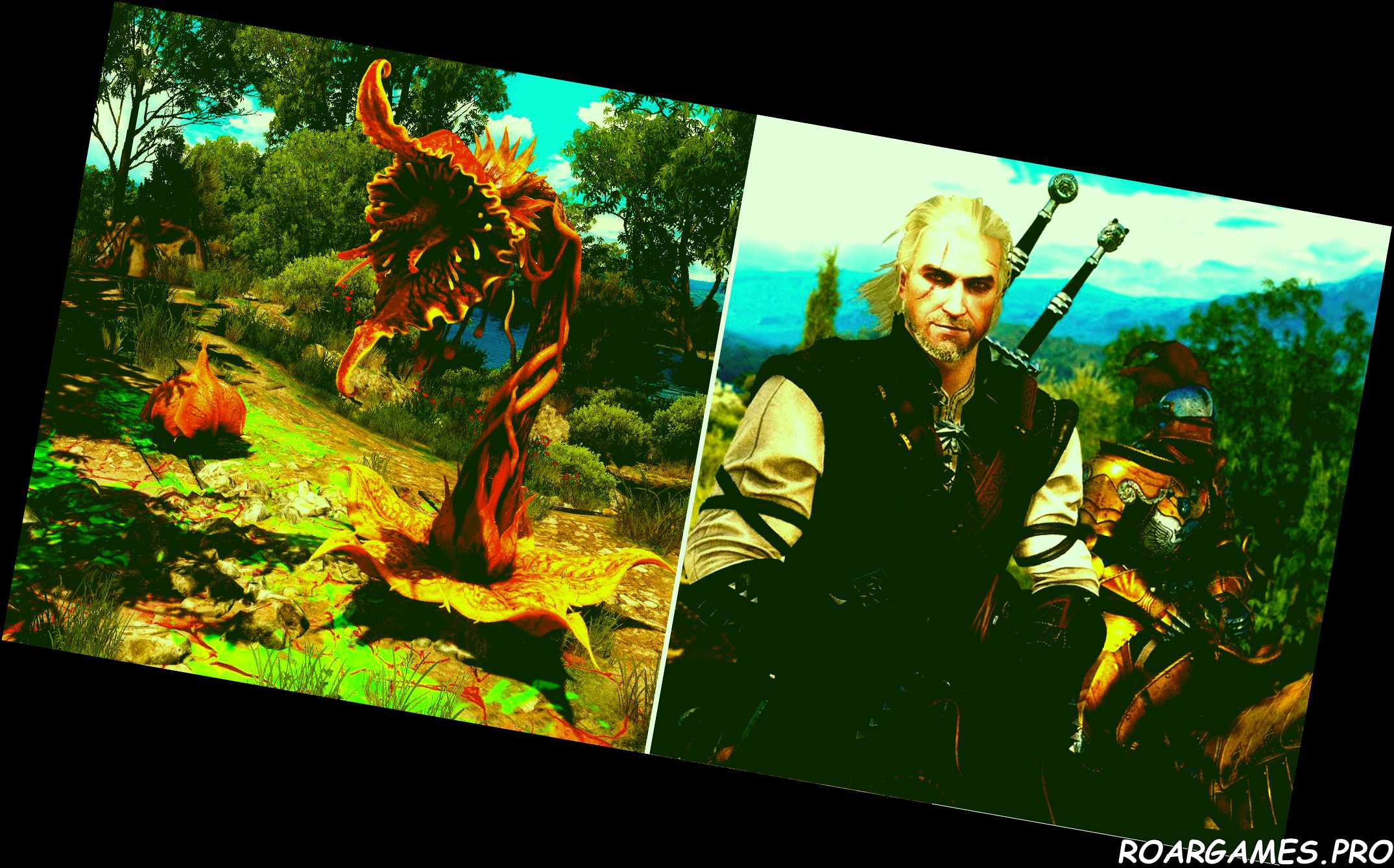 Wine Wars quest walkthrough Archespore guide Geralt youtube fandom The Witcher 3 Blood and Wine
